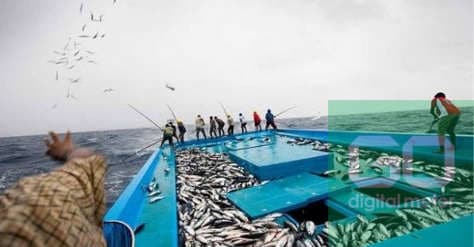 Pengaruh Cuaca Terhadap Tangkapan Ikan