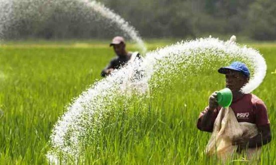 Harga Alat Pengukur Ph Tanah Dan Kesuburan Tanah Etp303 - Berbagai Alat